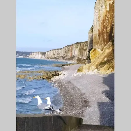 Le Nid Colas Cour Au Sud Velos A Dispo Fecamp